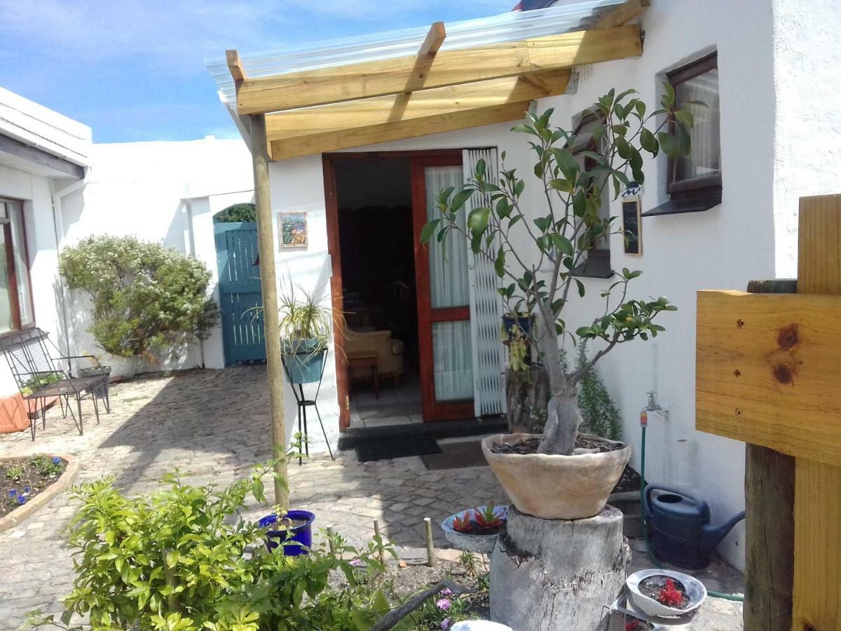 Albatross Hermanus Exterior foto