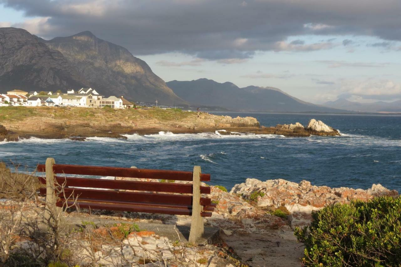 Albatross Hermanus Exterior foto